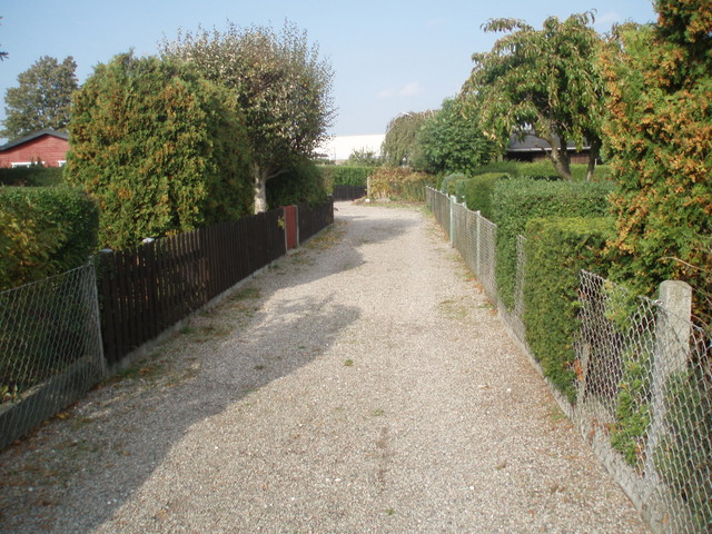 Vad väntar oss i vår